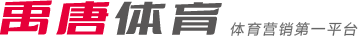 开场仅